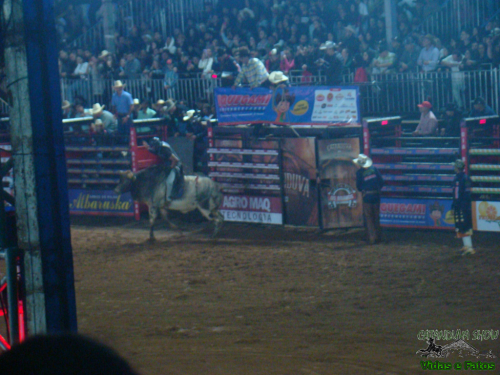 2023-06-Catanduva-Rodeo-Festival-238